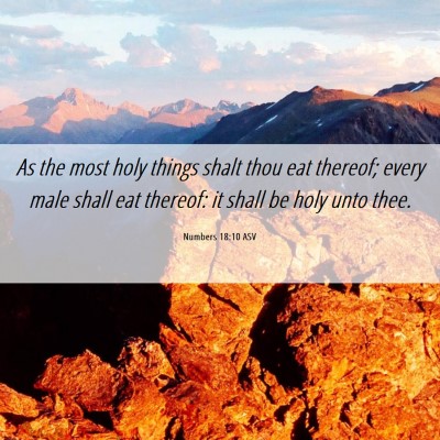 Picture 06 - Numbers 18:10 ASV - As the most holy things shalt thou eat thereof; - Bible Verse Picture