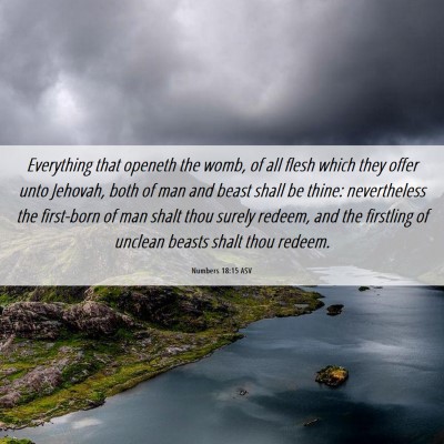 Picture 06 - Numbers 18:15 ASV - Everything that openeth the womb, of all flesh - Bible Verse Picture