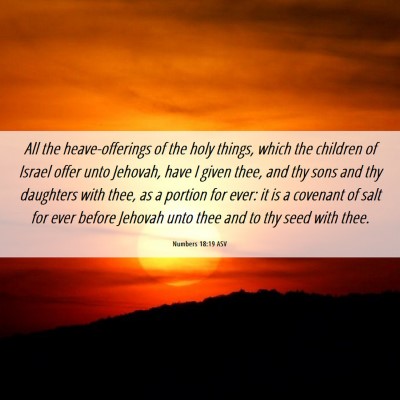 Picture 06 - Numbers 18:19 ASV - All the heave-offerings of the holy things, which - Bible Verse Picture