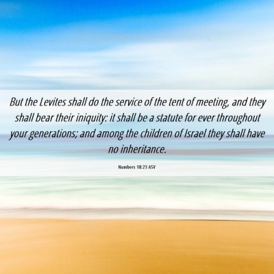 Picture 06 - Numbers 18:23 ASV - But the Levites shall do the service of the tent - Bible Verse Picture