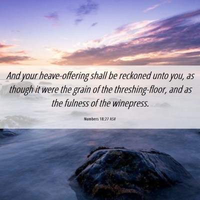 Picture 06 - Numbers 18:27 ASV - And your heave-offering shall be reckoned unto - Bible Verse Picture