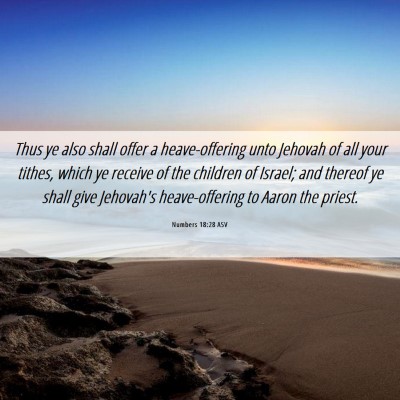 Picture 06 - Numbers 18:28 ASV - Thus ye also shall offer a heave-offering unto - Bible Verse Picture