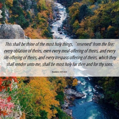 Picture 06 - Numbers 18:9 ASV - This shall be thine of the most holy things, - Bible Verse Picture