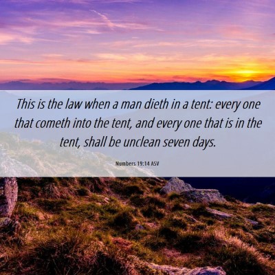 Picture 06 - Numbers 19:14 ASV - This is the law when a man dieth in a tent: every - Bible Verse Picture