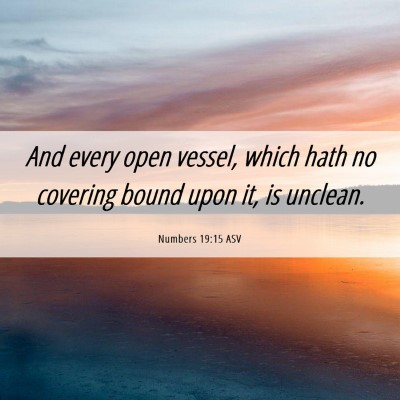 Picture 06 - Numbers 19:15 ASV - And every open vessel, which hath no covering - Bible Verse Picture