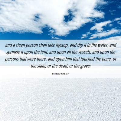 Picture 06 - Numbers 19:18 ASV - and a clean person shall take hyssop, and dip it - Bible Verse Picture
