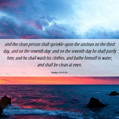 Picture 06 - Numbers 19:19 ASV - and the clean person shall sprinkle upon the - Bible Verse Picture