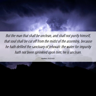 Picture 06 - Numbers 19:20 ASV - But the man that shall be unclean, and shall not - Bible Verse Picture