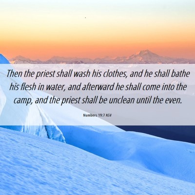 Picture 06 - Numbers 19:7 ASV - Then the priest shall wash his clothes, and he - Bible Verse Picture