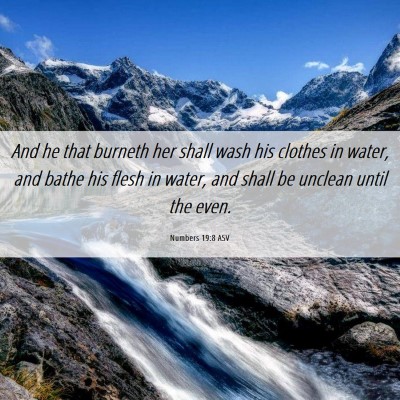 Picture 06 - Numbers 19:8 ASV - And he that burneth her shall wash his clothes in - Bible Verse Picture