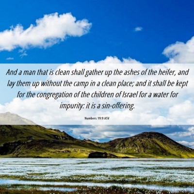 Picture 06 - Numbers 19:9 ASV - And a man that is clean shall gather up the ashes - Bible Verse Picture