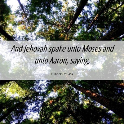 Picture 06 - Numbers 2:1 ASV - And Jehovah spake unto Moses and unto Aaron, - Bible Verse Picture