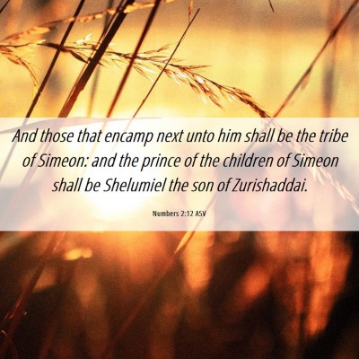 Picture 06 - Numbers 2:12 ASV - And those that encamp next unto him shall be the - Bible Verse Picture