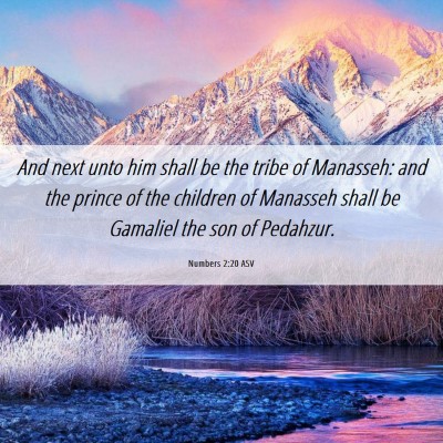 Picture 06 - Numbers 2:20 ASV - And next unto him shall be the tribe of Manasseh: - Bible Verse Picture