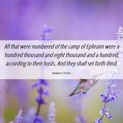 Picture 06 - Numbers 2:24 ASV - All that were numbered of the camp of Ephraim - Bible Verse Picture
