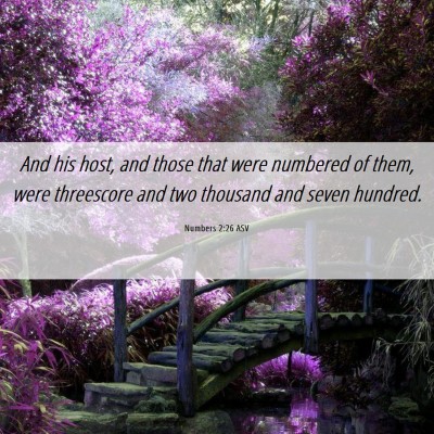 Picture 06 - Numbers 2:26 ASV - And his host, and those that were numbered of - Bible Verse Picture