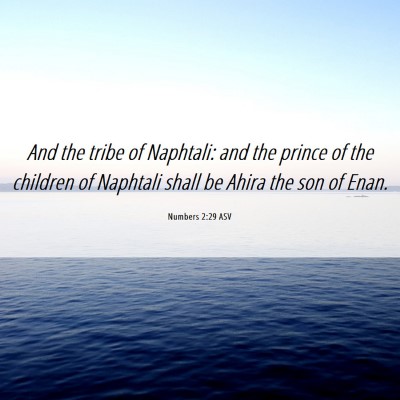 Picture 06 - Numbers 2:29 ASV - And the tribe of Naphtali: and the prince of the - Bible Verse Picture