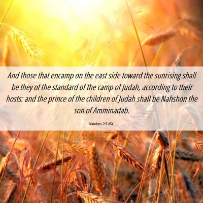 Picture 06 - Numbers 2:3 ASV - And those that encamp on the east side toward the - Bible Verse Picture