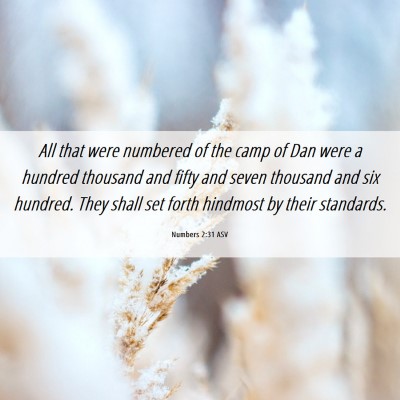Picture 06 - Numbers 2:31 ASV - All that were numbered of the camp of Dan were a - Bible Verse Picture