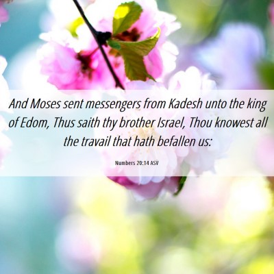 Picture 06 - Numbers 20:14 ASV - And Moses sent messengers from Kadesh unto the - Bible Verse Picture
