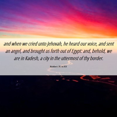Picture 06 - Numbers 20:16 ASV - and when we cried unto Jehovah, he heard our - Bible Verse Picture