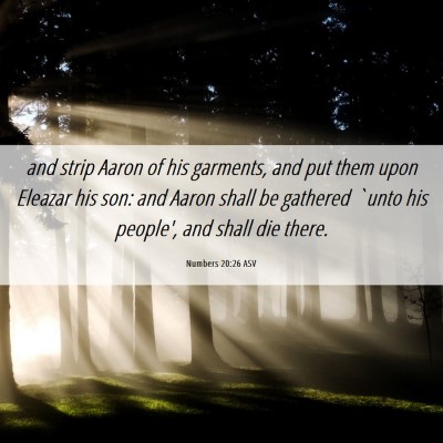 Picture 06 - Numbers 20:26 ASV - and strip Aaron of his garments, and put them - Bible Verse Picture