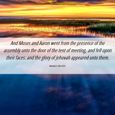 Picture 06 - Numbers 20:6 ASV - And Moses and Aaron went from the presence of the - Bible Verse Picture
