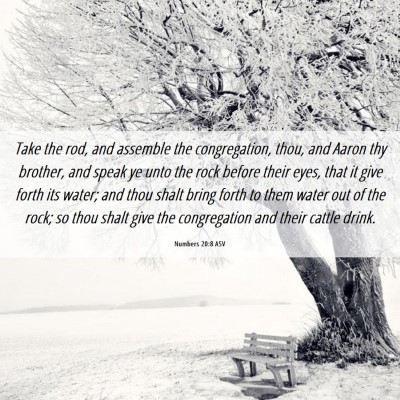 Picture 06 - Numbers 20:8 ASV - Take the rod, and assemble the congregation, - Bible Verse Picture