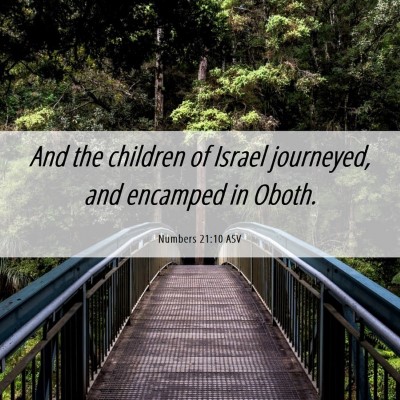 Picture 06 - Numbers 21:10 ASV - And the children of Israel journeyed, and - Bible Verse Picture