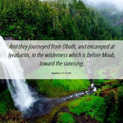 Picture 06 - Numbers 21:11 ASV - And they journeyed from Oboth, and encamped at - Bible Verse Picture