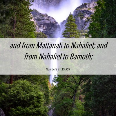 Picture 06 - Numbers 21:19 ASV - and from Mattanah to Nahaliel; and from Nahaliel - Bible Verse Picture