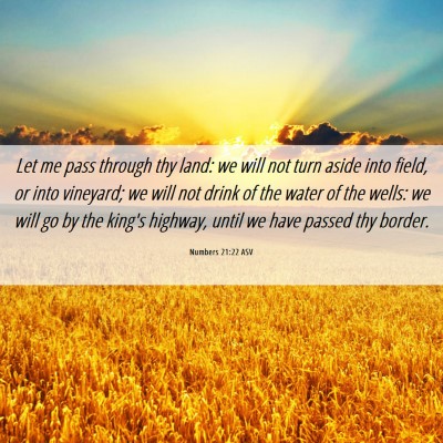 Picture 06 - Numbers 21:22 ASV - Let me pass through thy land: we will not turn - Bible Verse Picture