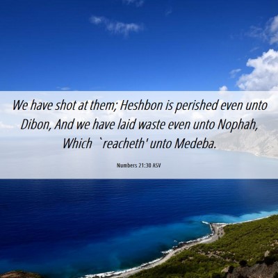 Picture 06 - Numbers 21:30 ASV - We have shot at them; Heshbon is perished even - Bible Verse Picture