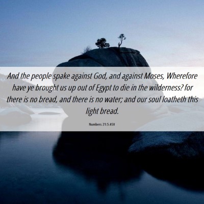 Picture 06 - Numbers 21:5 ASV - And the people spake against God, and against - Bible Verse Picture