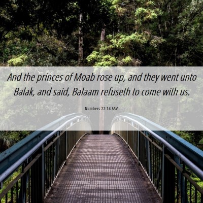 Picture 06 - Numbers 22:14 ASV - And the princes of Moab rose up, and they went - Bible Verse Picture