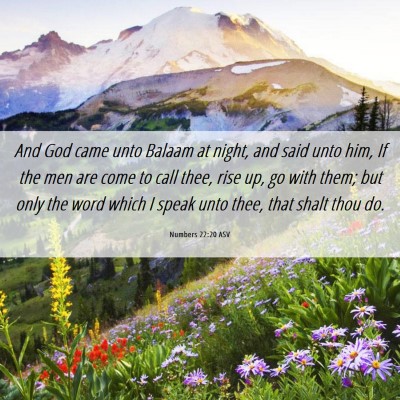 Picture 06 - Numbers 22:20 ASV - And God came unto Balaam at night, and said unto - Bible Verse Picture