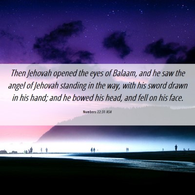 Picture 06 - Numbers 22:31 ASV - Then Jehovah opened the eyes of Balaam, and he - Bible Verse Picture