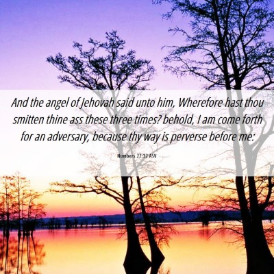 Picture 06 - Numbers 22:32 ASV - And the angel of Jehovah said unto him, Wherefore - Bible Verse Picture