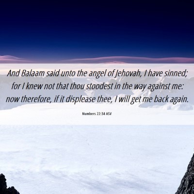 Picture 06 - Numbers 22:34 ASV - And Balaam said unto the angel of Jehovah, I have - Bible Verse Picture