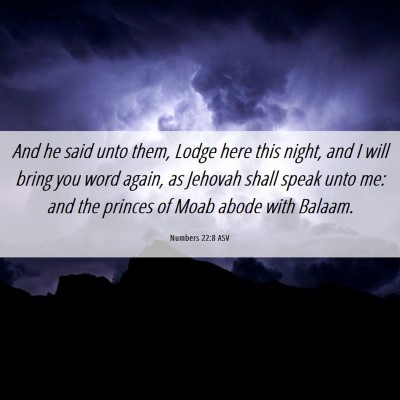 Picture 06 - Numbers 22:8 ASV - And he said unto them, Lodge here this night, and - Bible Verse Picture