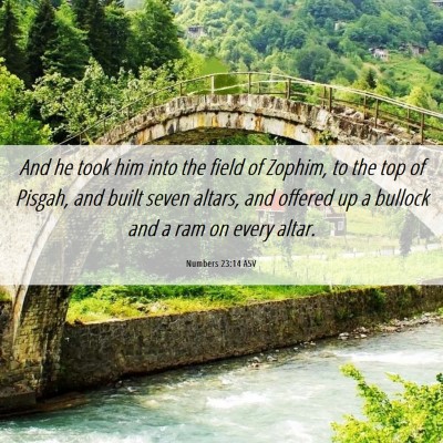 Picture 06 - Numbers 23:14 ASV - And he took him into the field of Zophim, to the - Bible Verse Picture