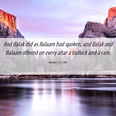 Picture 06 - Numbers 23:2 ASV - And Balak did as Balaam had spoken; and Balak and - Bible Verse Picture