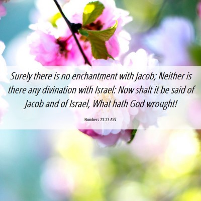 Picture 06 - Numbers 23:23 ASV - Surely there is no enchantment with Jacob; - Bible Verse Picture