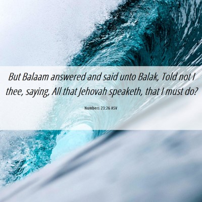 Picture 06 - Numbers 23:26 ASV - But Balaam answered and said unto Balak, Told not - Bible Verse Picture