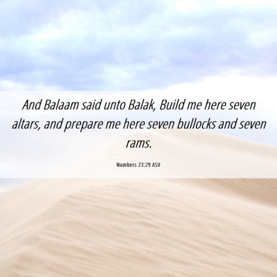 Picture 06 - Numbers 23:29 ASV - And Balaam said unto Balak, Build me here seven - Bible Verse Picture