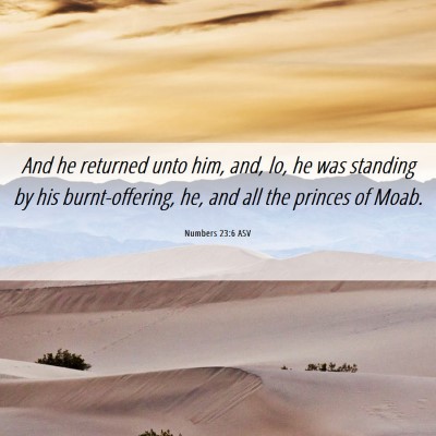 Picture 06 - Numbers 23:6 ASV - And he returned unto him, and, lo, he was - Bible Verse Picture