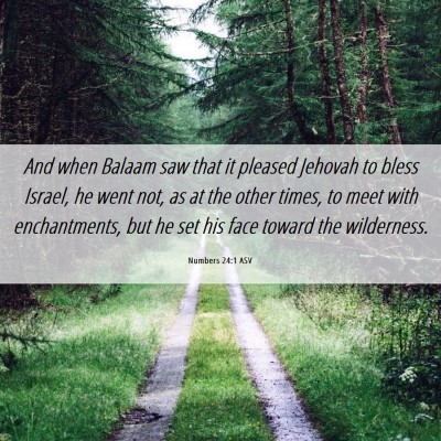 Picture 06 - Numbers 24:1 ASV - And when Balaam saw that it pleased Jehovah to - Bible Verse Picture