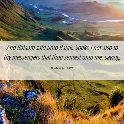 Picture 06 - Numbers 24:12 ASV - And Balaam said unto Balak, Spake I not also to - Bible Verse Picture