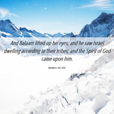 Picture 06 - Numbers 24:2 ASV - And Balaam lifted up his eyes, and he saw Israel - Bible Verse Picture