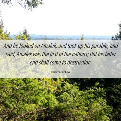 Picture 06 - Numbers 24:20 ASV - And he looked on Amalek, and took up his parable, - Bible Verse Picture